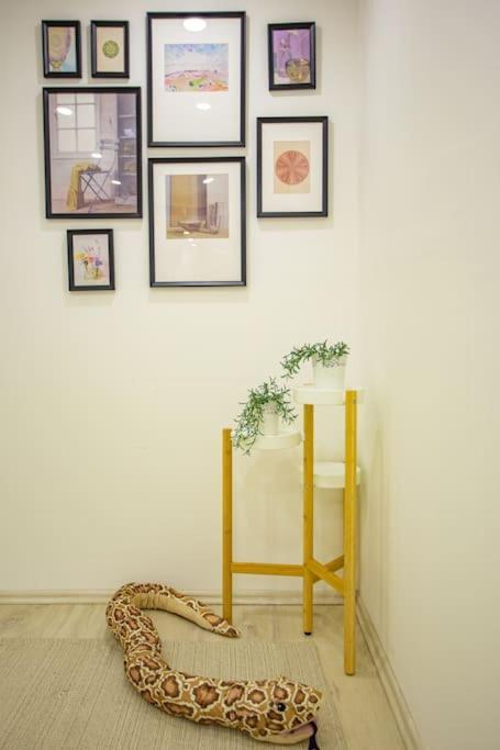 Apartamento Cosy Two Bedroom Flat In Josika Street, Paprika Budapeste